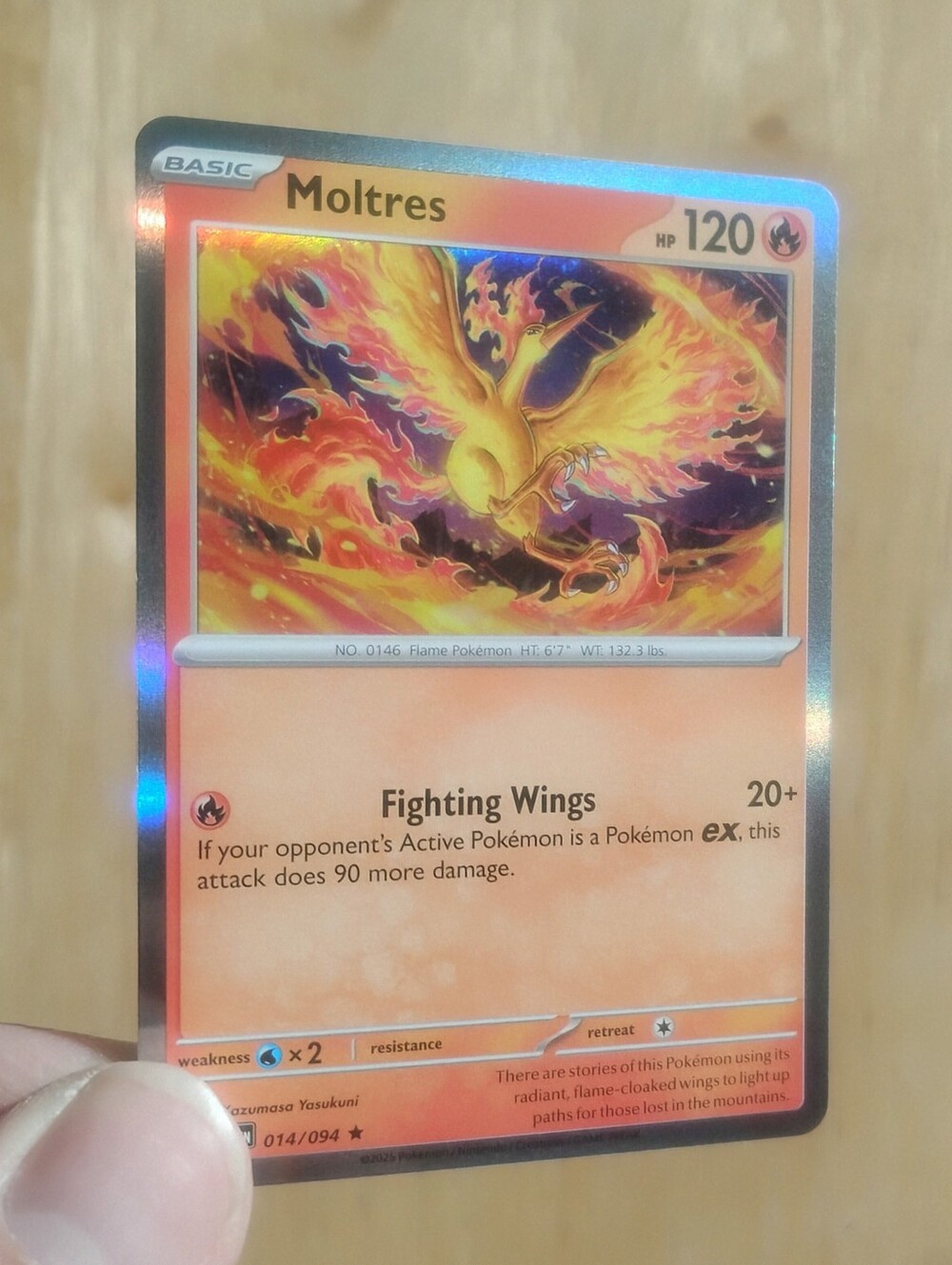Mint Holo Moltres 014/094 Mega Evolutions Phantasmal Flames Pokemon Cards